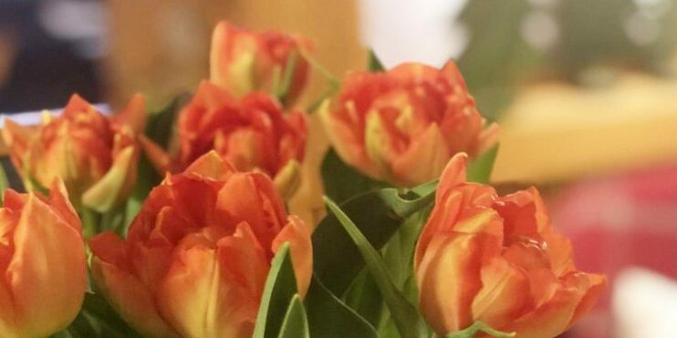 Schöne Blumen und ein herzliches Willkommen im Hoel Garni Schneider in Lech