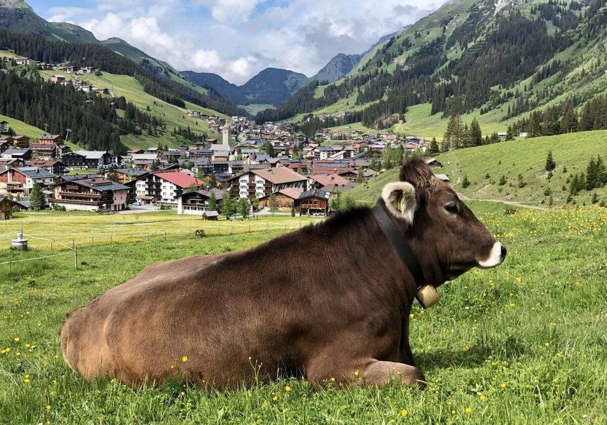 Die Lech Card bietet so viele Möglichkeiten um den Arlberg aktiv zu erleben.