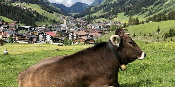 Die Lech Card bietet so viele Möglichkeiten um den Arlberg aktiv zu erleben.